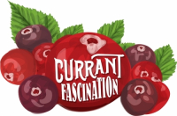 Пиво Currant Fascination