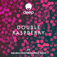 Пиво Deep Double Raspberry Gose