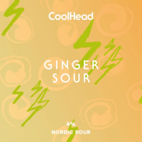 Пиво Ginger Sour