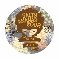 Пиво Salty Ananas Sour