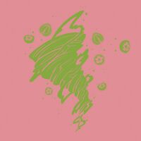 Пиво Blender (Guava)