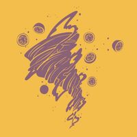 Пиво Blender (Passion Fruit)