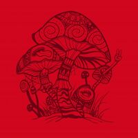 Пиво Cherry Trip