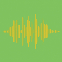 Пиво Citrus Sonic