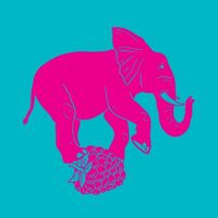 Пиво Enjoy the Show Пиво Enjoy the Show