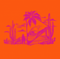 Пиво Mirage (Guava Orange Blackberry)