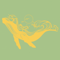 Пиво Nelson Flow