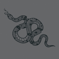 Пиво Segments (2023) Пиво Segments (2023)