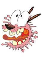 Пиво Dry Apple Cider (16)