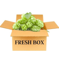 Пиво Fresh Box Пиво Fresh Box
