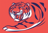 Пиво Quiet Tiger Steps