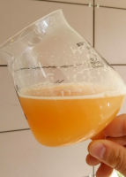 Пиво Hazy HopsOil