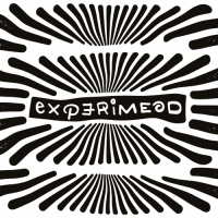 Пиво Experimead #10 - Maple Syrup Barbados Rum BA