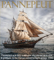 Пиво Pannepeut (Pannepøt) - Old Monk’s Ale (2021) Пиво Pannepeut (Pannepøt) - Old Monk’s Ale (2021)