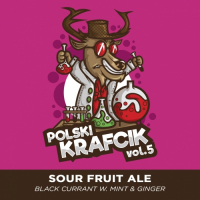 Пиво Polski Krafcik Vol. 5 - Fruit Sour Ale