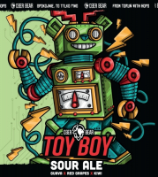 Пиво TOY BOY