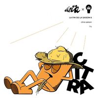 Пиво La Fin De La Saison 6