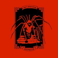 Пиво IDI V SVOY DVOR MUTIROVAJ