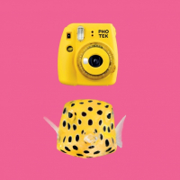 Пиво PHOTEK (Matcha, Pear & Coconut Edition)