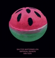 Пиво SALTED FISSION BOMB