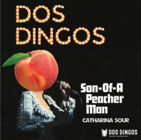 Пиво Son of A Peacher Man