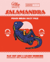 Пиво SALAMANDRA - Peach Melba Pale Ale