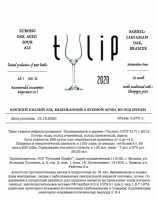 Пиво Tulip Пиво Tulip