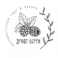Пиво Draft Berry Мохито