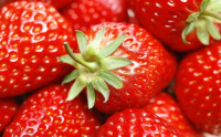 Пиво Strawberry Pale Ale (experimental) Пиво Strawberry Pale Ale (experimental)