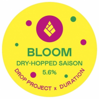 Пиво Bloom Пиво Bloom