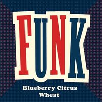Пиво Funk (Blueberry Citrus Wheat) Пиво Funk (Blueberry Citrus Wheat)