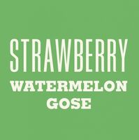 Пиво Strawberry Watermelon Gose