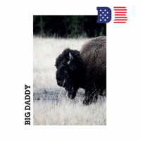 Пиво Big Daddy Пиво Big Daddy