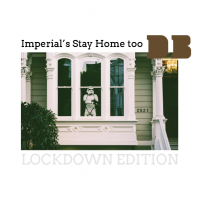 Пиво Imperials Stay Home Too Пиво Imperials Stay Home Too