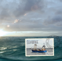 Пиво SeaWise Пиво SeaWise