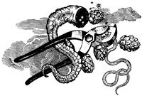 Пиво A Darker Cut