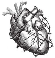 Пиво Bitter Heart