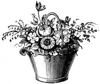 Пиво Bucket of Flowers