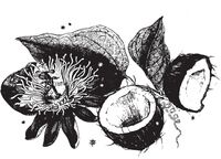 Пиво Coconut Passionfruit Layer Cake Пиво Coconut Passionfruit Layer Cake