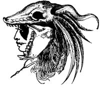 Пиво Cult Leader's Headdress