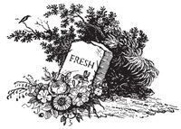 Пиво Death To Fresh