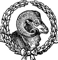 Пиво Dunkelweizen