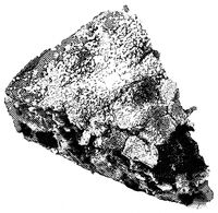 Пиво Fruit Cobbler