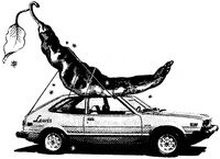 Пиво Hatchback Пиво Hatchback