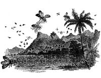 Пиво Hawaiian Honey Helles Bock Пиво Hawaiian Honey Helles Bock