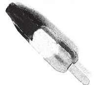 Пиво Popsicle Пиво Popsicle