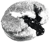 Пиво Raspberry Jelly Doughnut