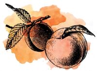 Пиво Sour Apricot Peach