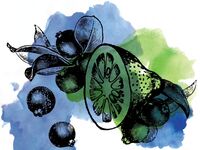 Пиво Sour Blueberry Lime