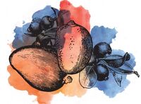 Пиво Sour Blueberry Mango Пиво Sour Blueberry Mango